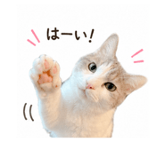 842347270
