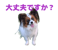 842347315
