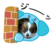 842347325