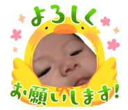 842347467