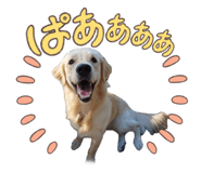 842347586