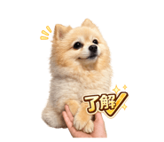 842347860