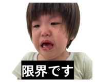 842348056