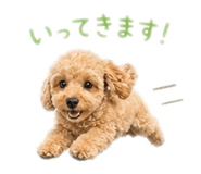 842348080
