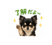 842348155