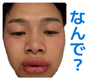 842348341