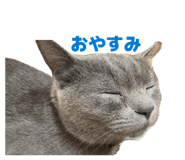 842348572