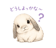 842348677