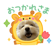 842348755