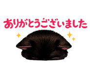 842348840