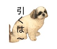 842348876