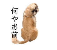 842348878