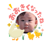 842348941