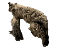 842348977