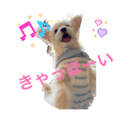 842349419