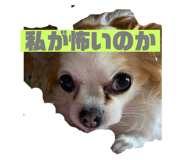 842349423