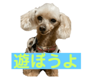 842349425