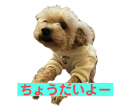 842349427