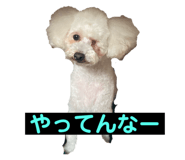 842349428