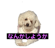 842349429