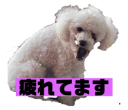 842349430
