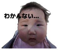842349592