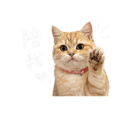 842350505