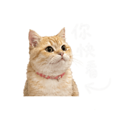 842350506