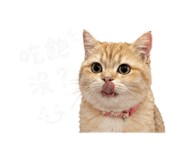842350509