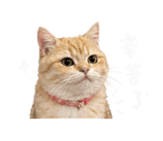 842350512