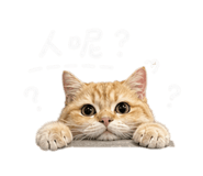 842350515