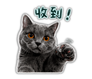 842350635