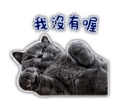 842350639