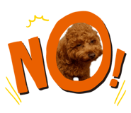 842352371