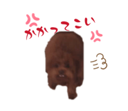 842352379
