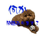 842352389