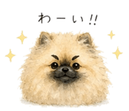 842352406