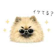 842352419