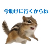 842352433