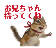 842352434