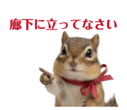 842352438