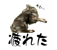842352483