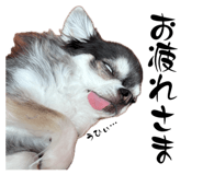 842352484