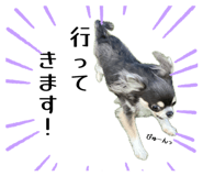 842352485