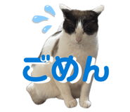 842352620
