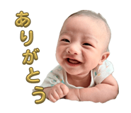 842353321