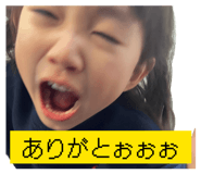 842353338