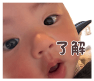 842353365