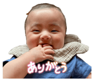 842353366