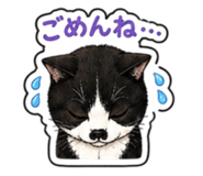 842353435